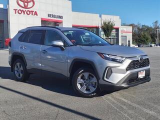 2024 Toyota RAV4 for sale in Lynchburg VA