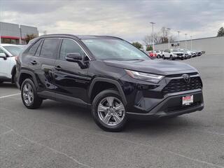 2024 Toyota RAV4 for sale in Lynchburg VA