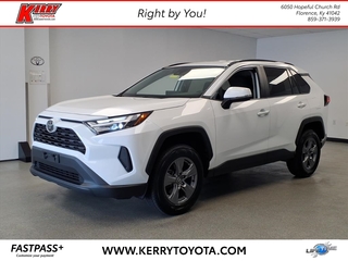 2024 Toyota RAV4 for sale in Florence KY