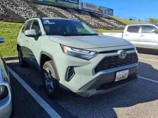 2023 Toyota RAV4 for sale in Roanoke VA