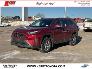 2025 Toyota RAV4 for sale in Florence KY