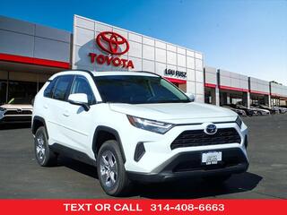 2025 Toyota RAV4 for sale in Kirkwood MO