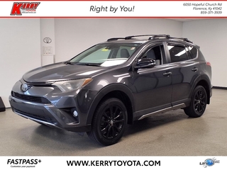 2018 Toyota RAV4 for sale in Florence KY