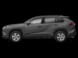 2019 Toyota RAV4 Hybrid for sale in Lexington MA