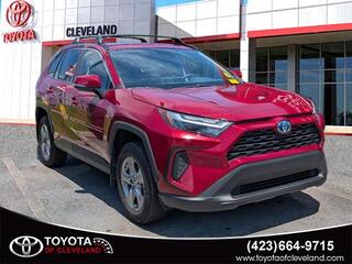 2024 Toyota RAV4 Hybrid for sale in Mcdonald TN