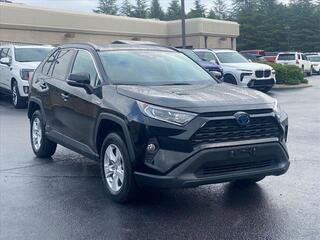 2019 Toyota RAV4 Hybrid for sale in Chattanooga TN