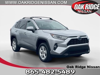 2019 Toyota RAV4 Hybrid