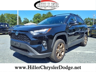 2024 Toyota RAV4 Hybrid for sale in Marion MA