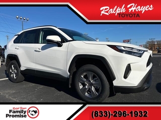 2025 Toyota RAV4 for sale in Anderson SC