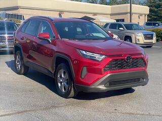 2023 Toyota RAV4 for sale in Chattanooga TN