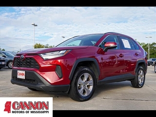 2023 Toyota RAV4 for sale in Orange TX