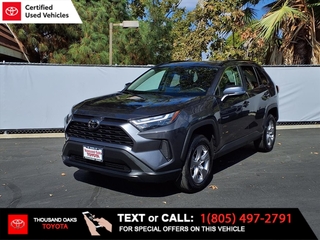 2023 Toyota RAV4 for sale in Thousand Oaks CA
