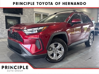 2023 Toyota RAV4 for sale in Hernando MS