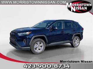 2023 Toyota RAV4 for sale in Morristown TN