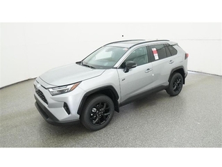 2025 Toyota RAV4 for sale in Merritt Island FL