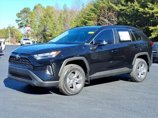 2025 Toyota RAV4 for sale in Asheboro NC