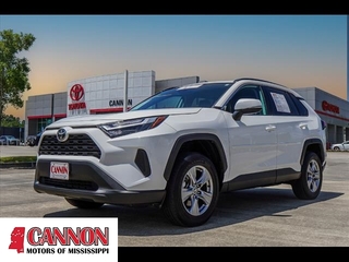 2022 Toyota RAV4 for sale in Moss Point MS