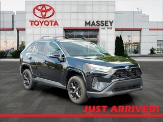 2022 Toyota RAV4 for sale in Kinston NC