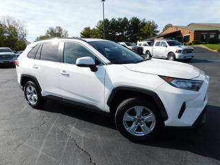 2019 Toyota RAV4 for sale in Clarksville TN