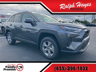 2025 Toyota RAV4 for sale in Anderson SC