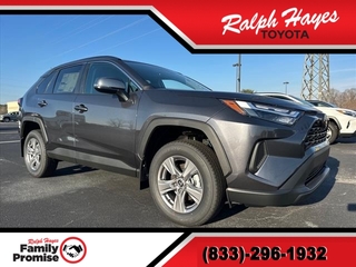 2025 Toyota RAV4 for sale in Anderson SC