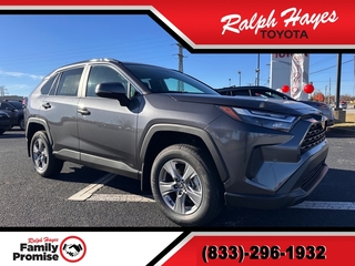 2025 Toyota RAV4 for sale in Anderson SC