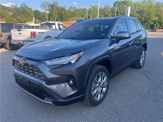 2022 Toyota RAV4 for sale in Roanoke VA
