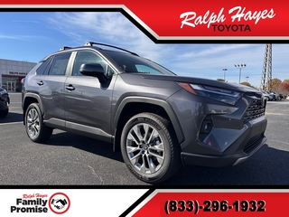 2025 Toyota RAV4 for sale in Anderson SC