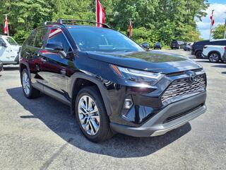 2024 Toyota RAV4 for sale in New Bern NC