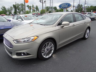 2015 Ford Fusion