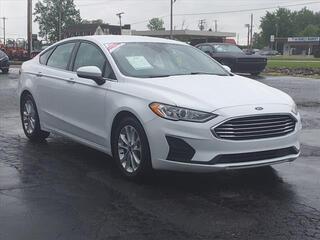 2019 Ford Fusion for sale in Shelbyville IN