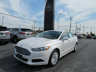 2014 Ford Fusion Hybrid for sale in Toledo OH