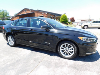 2019 Ford Fusion Hybrid for sale in Clarksville TN