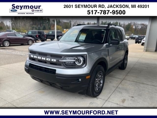 2022 Ford Bronco Sport for sale in Jackson MI