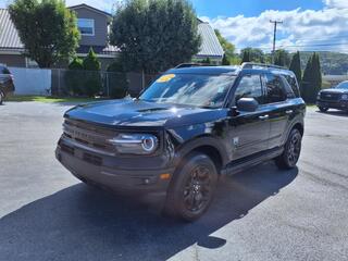 2024 Ford Bronco Sport for sale in Princeton WV