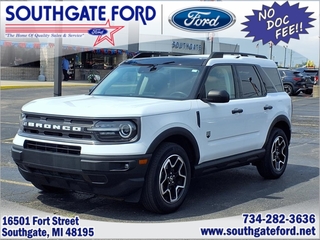 2021 Ford Bronco Sport for sale in Southgate MI