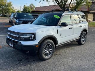 2025 Ford Bronco Sport for sale in Janesville WI