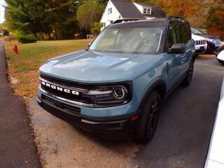 2021 Ford Bronco Sport