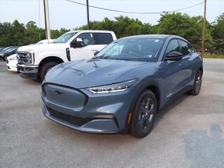 2023 Ford Mustang Mach-E for sale in Martinsburg WV