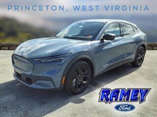2024 Ford Mustang Mach-E for sale in Princeton WV