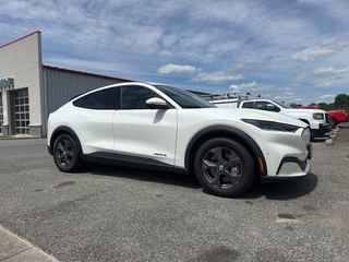 2022 Ford Mustang Mach-E for sale in Chatsworth GA