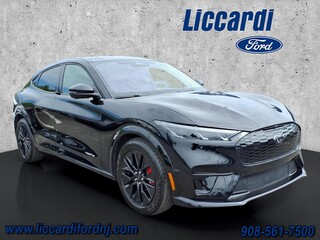 2025 Ford Mustang Mach-E for sale in Watchung NJ