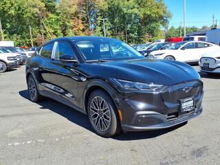 2025 Ford Mustang Mach-E for sale in Watchung NJ