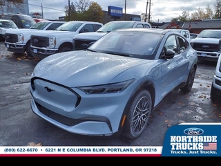 2024 Ford Mustang Mach-E for sale in Portland OR