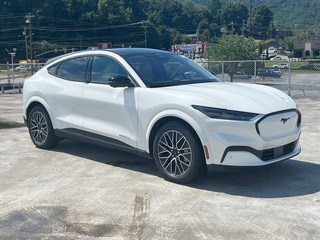2025 Ford Mustang Mach-E for sale in Waynesville NC