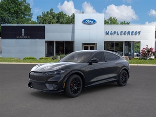 2025 Ford Mustang Mach-E for sale in Union NJ
