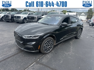 2025 Ford Mustang Mach-E for sale in Paoli PA