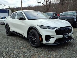 2025 Ford Mustang Mach-E for sale in Watchung NJ