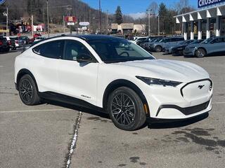 2024 Ford Mustang Mach-E for sale in Waynesville NC