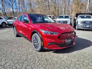 2024 Ford Mustang Mach-E for sale in Watchung NJ